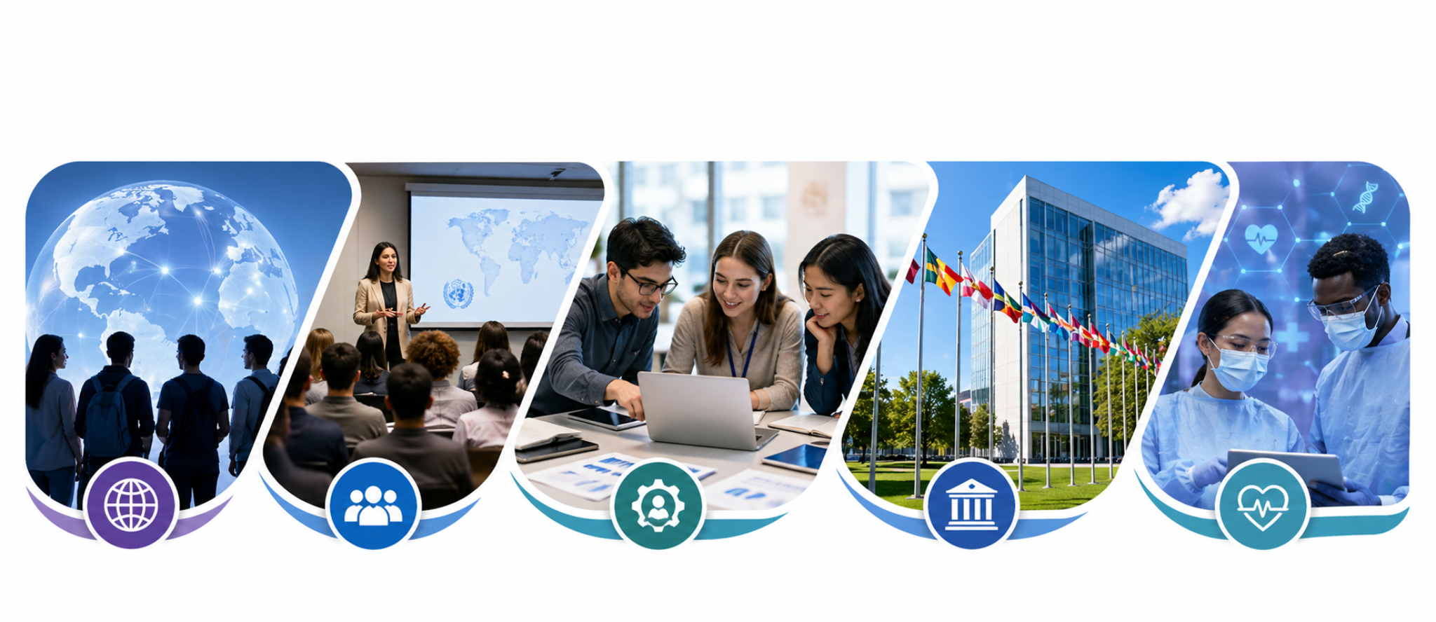 Program experience montage showing global learning, sessions, teamwork, institutions, and health innovation